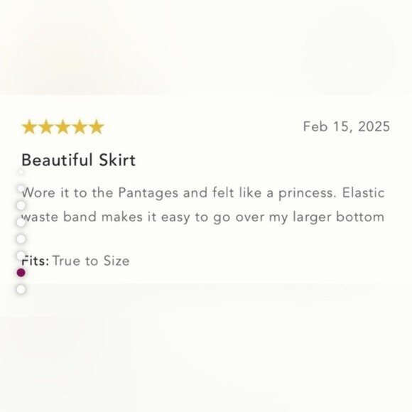 NWT Size XL - By Anthropologie Sequin Lace Midi Skirt - Picture 15 of 16